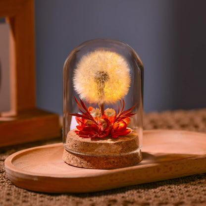 Flower Xu Night Light Dandelion Preserved Flower Bouquet in Glass Dome Birthday Gift